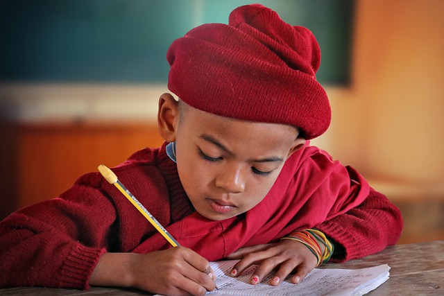 A boy doing school homework