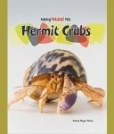 Hermit Crabs Keeping Unusual Pets