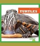 Turtles Bullfrog Books My First Pet
