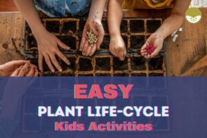 Read more about the article 17 FUN Plant Life Cycle Activities! PS-Gr2 Learning