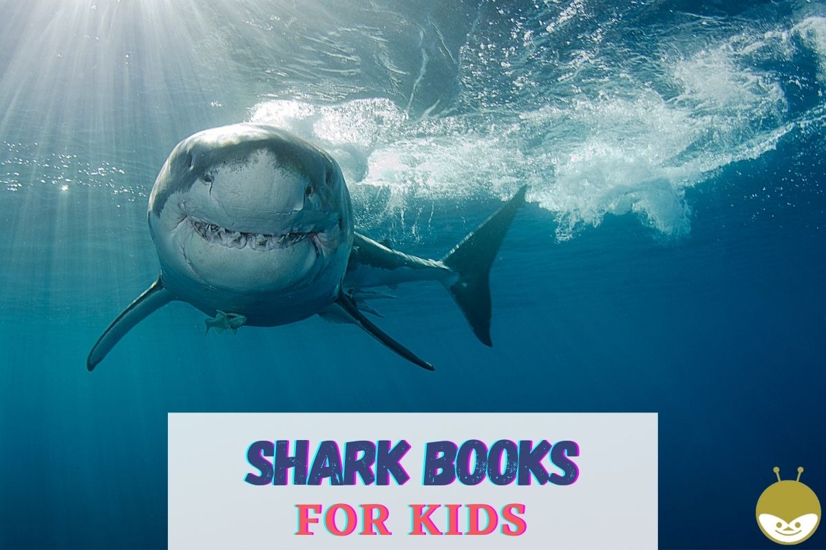 shark books for kids